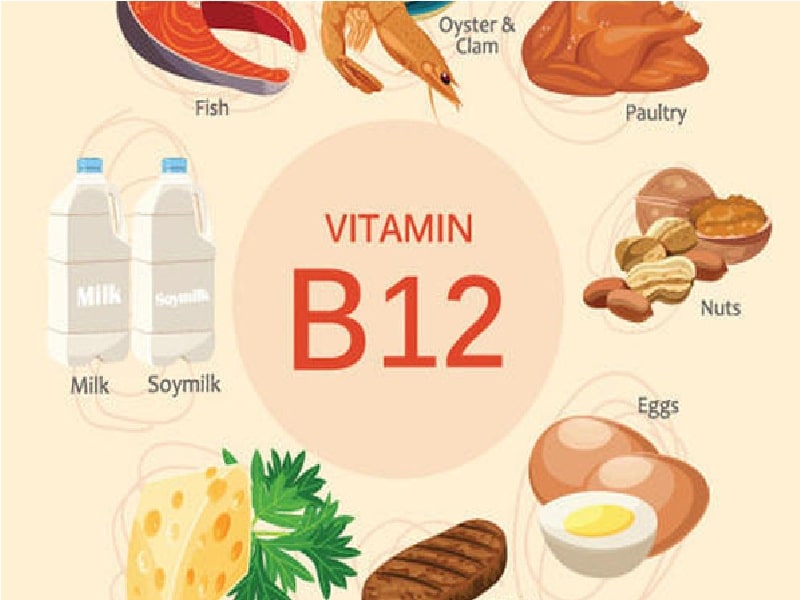 Bổ sung Vitamin B12 từ các thực phẩm hàng ngày