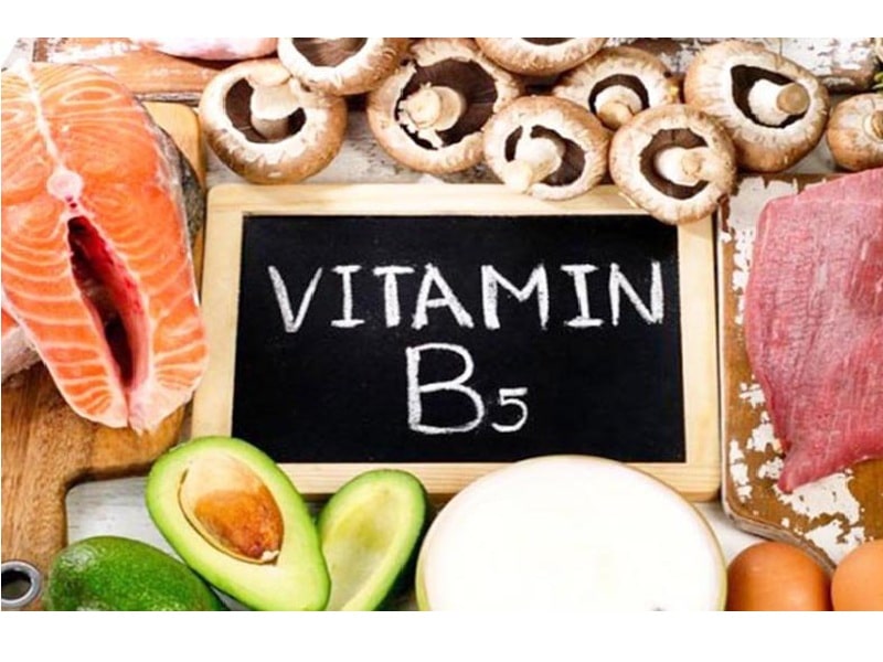 Vitamin B5 có chức năng đặc biệt là tham gia tạo nên kháng thể bảo vệ da, móng, tóc