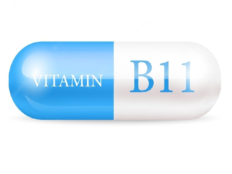 Vitamin B11 đặc biệt quan trọng với những phụ nữ đang mang thai