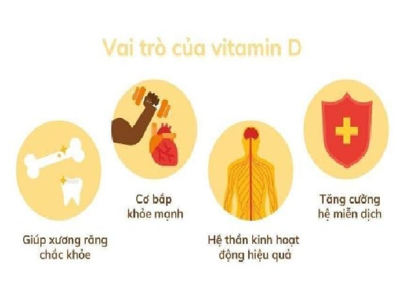Tác dụng của vitamin D đối với cơ thể