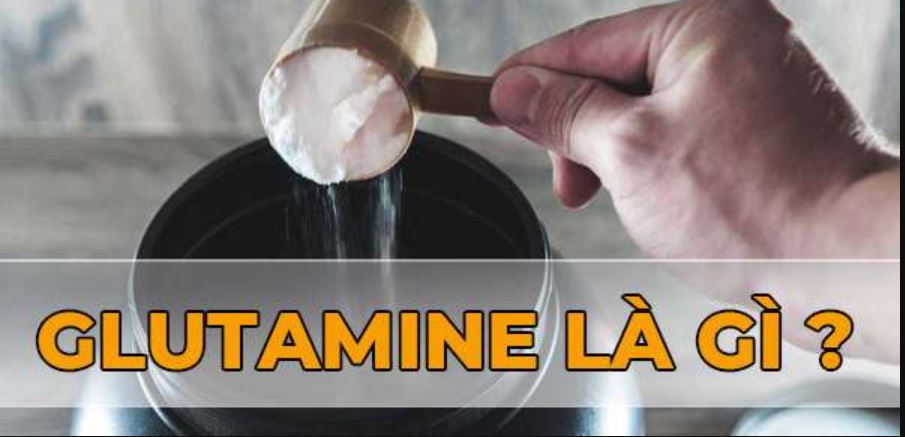Glutamine là gì? Tác dụng của Glutamine đối với sức khỏe