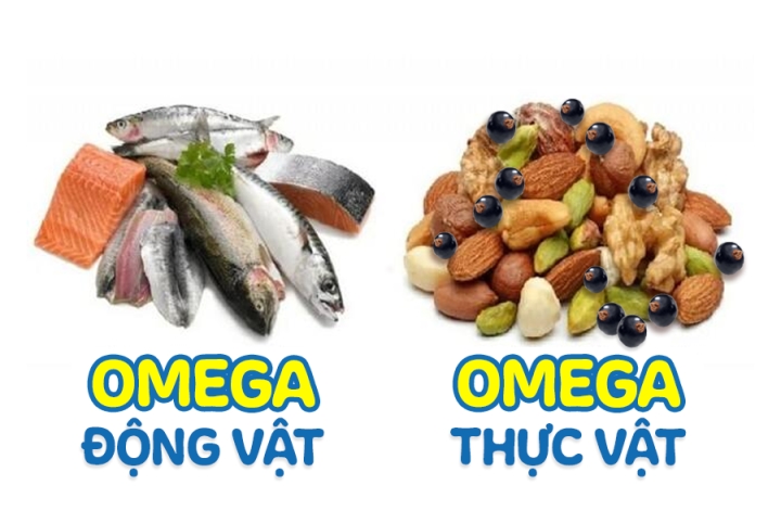 omega 3 thực vật khác gì omega 3 từ cá thumb